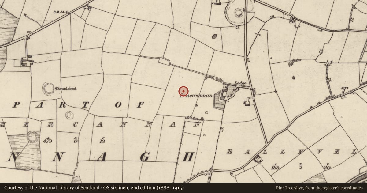 Ordnance Survey six-inch map, 2nd edition (1888–1915) covering the location of Enclosure, Lohercannan, County Kerry, with a pin at the register's coordinates