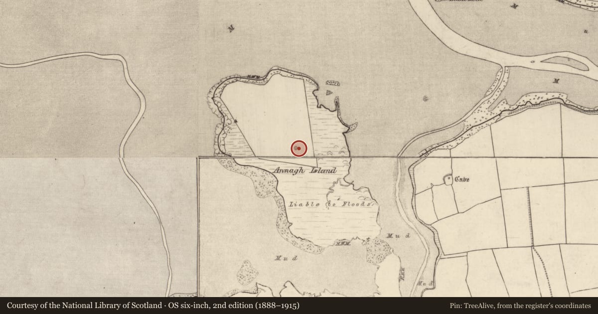 Ordnance Survey six-inch map, 2nd edition (1888–1915) covering the location of Earthwork, Annagh Island, County Kerry, with a pin at the register's coordinates