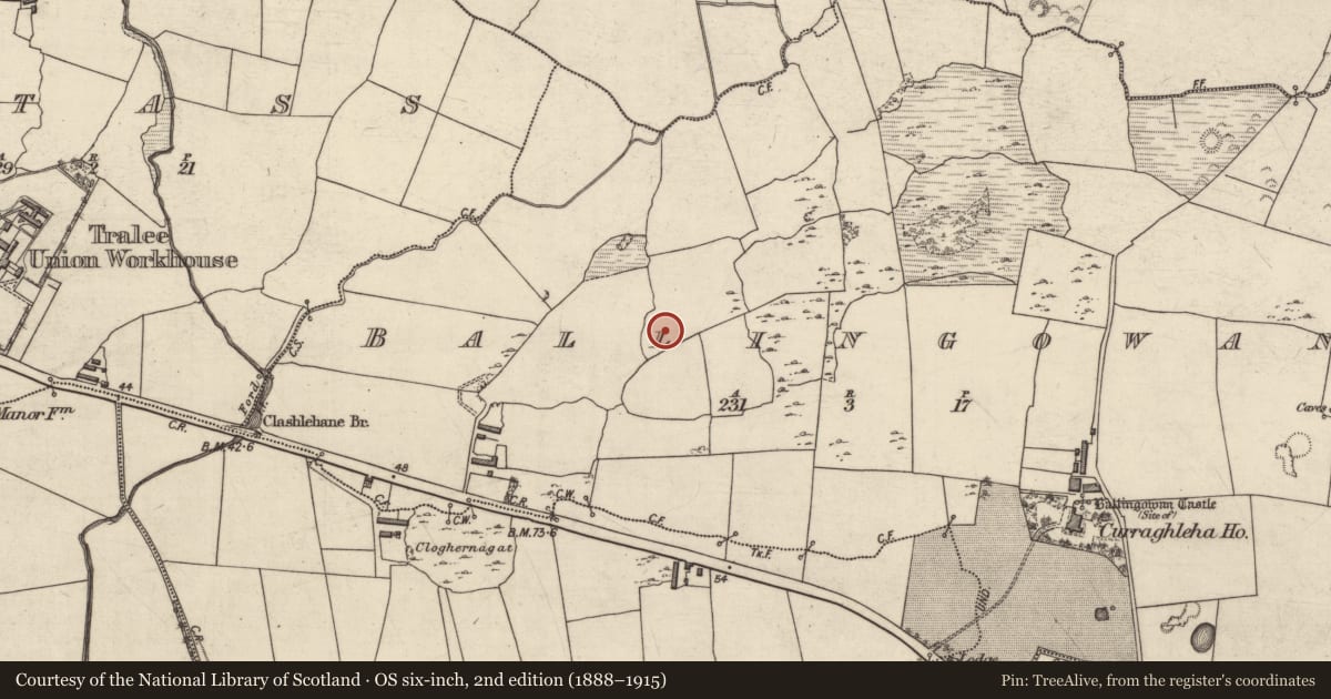 Ordnance Survey six-inch map, 2nd edition (1888–1915) covering the location of Enclosure, Ballingowan, County Kerry, with a pin at the register's coordinates