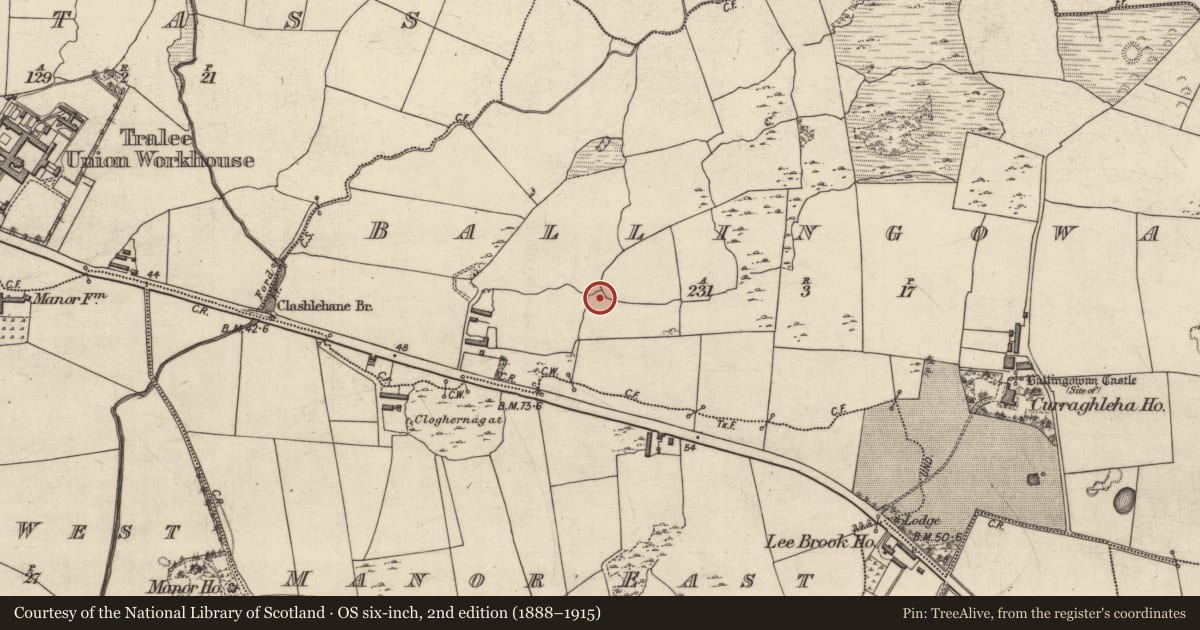 Ordnance Survey six-inch map, 2nd edition (1888–1915) covering the location of Enclosure, Ballingowan, County Kerry, with a pin at the register's coordinates