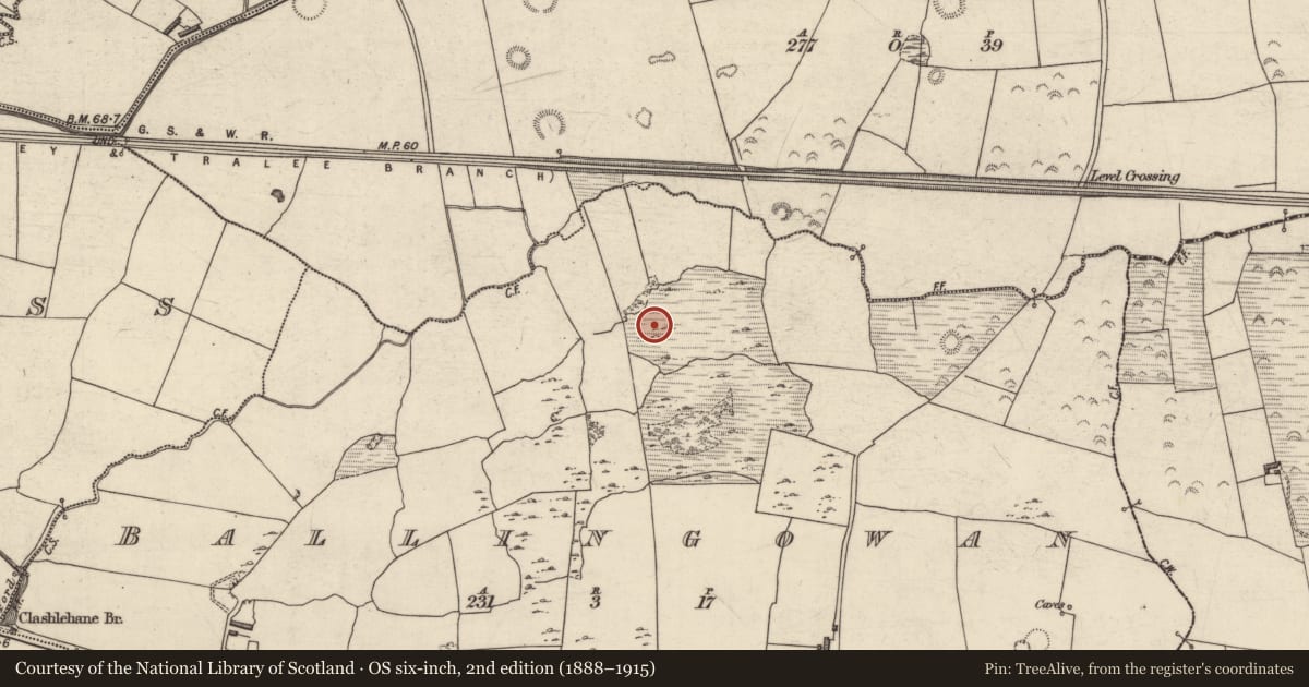 Ordnance Survey six-inch map, 2nd edition (1888–1915) covering the location of Enclosure, Ballingowan, County Kerry, with a pin at the register's coordinates