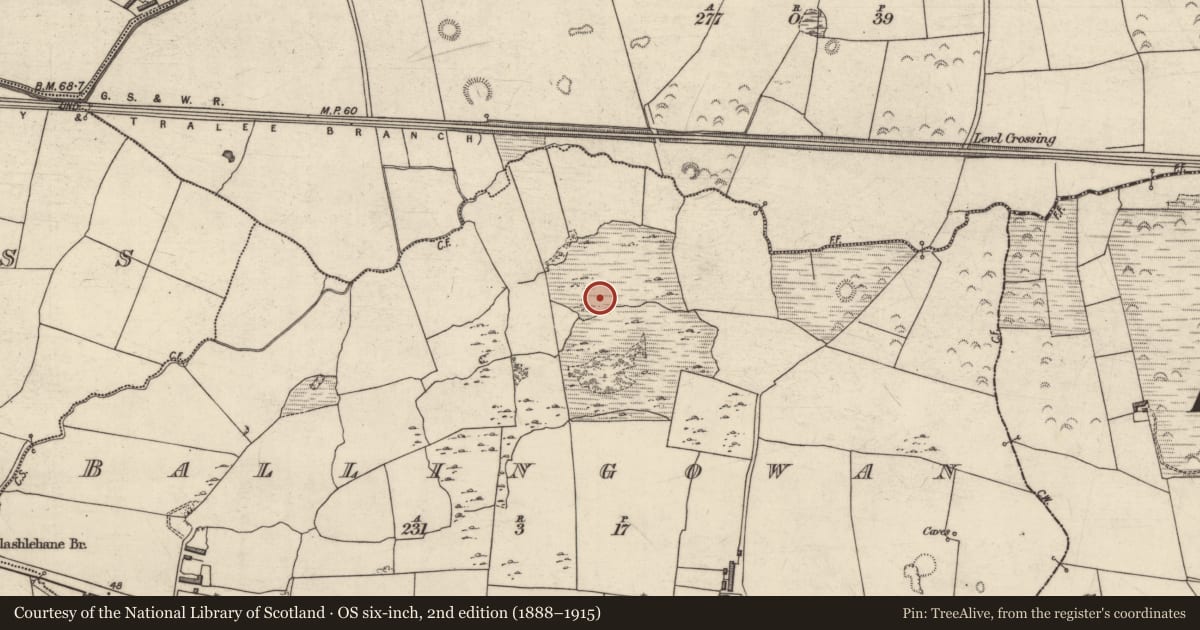 Ordnance Survey six-inch map, 2nd edition (1888–1915) covering the location of Field boundary, Ballingowan, County Kerry, with a pin at the register's coordinates