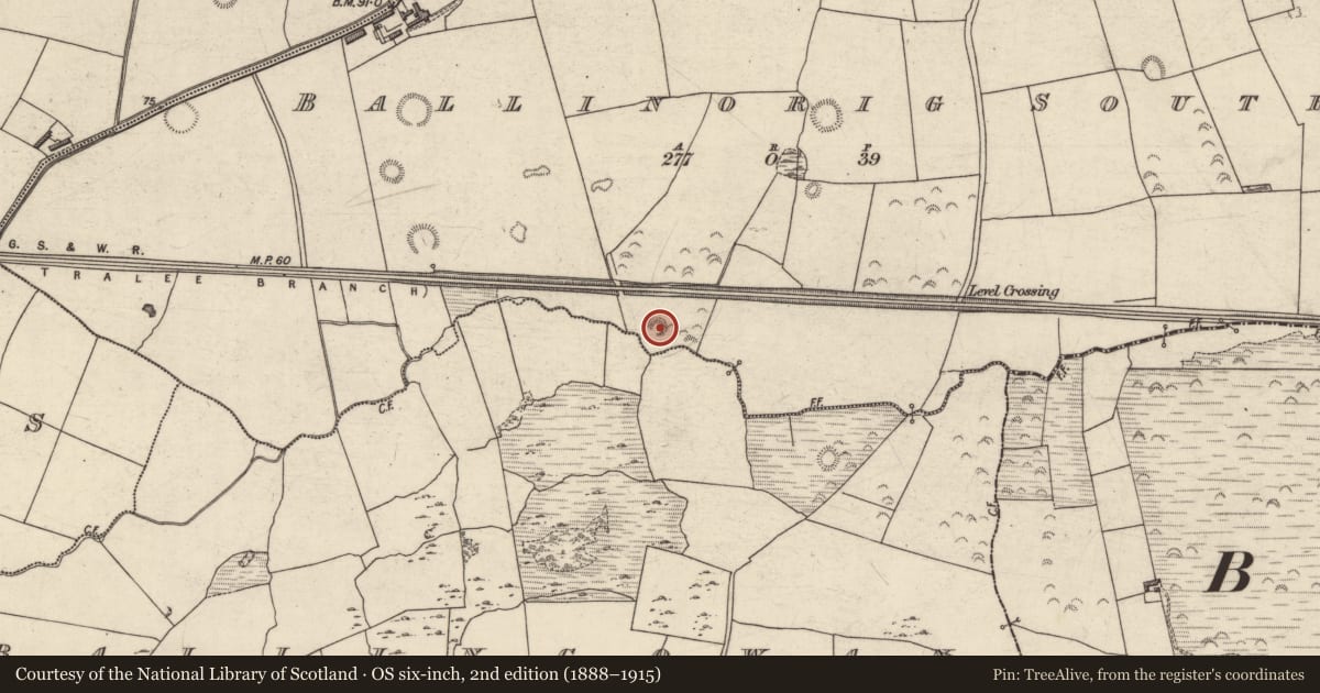 Ordnance Survey six-inch map, 2nd edition (1888–1915) covering the location of Enclosure, Ballinorig South, County Kerry, with a pin at the register's coordinates