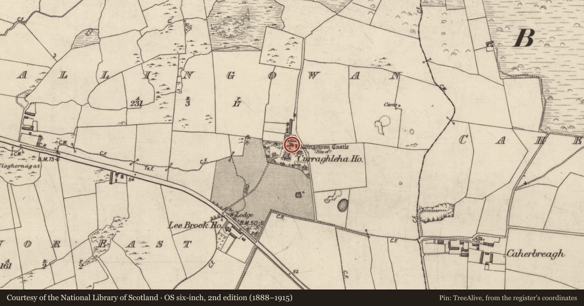 Ordnance Survey six-inch map, 2nd edition (1888–1915) covering the location of Castle - unclassified, Ballingowan, County Kerry, with a pin at the register's coordinates