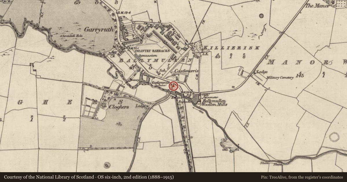 Ordnance Survey six-inch map, 2nd edition (1888–1915) covering the location of Castle - tower house, Ballymullen, County Kerry, with a pin at the register's coordinates