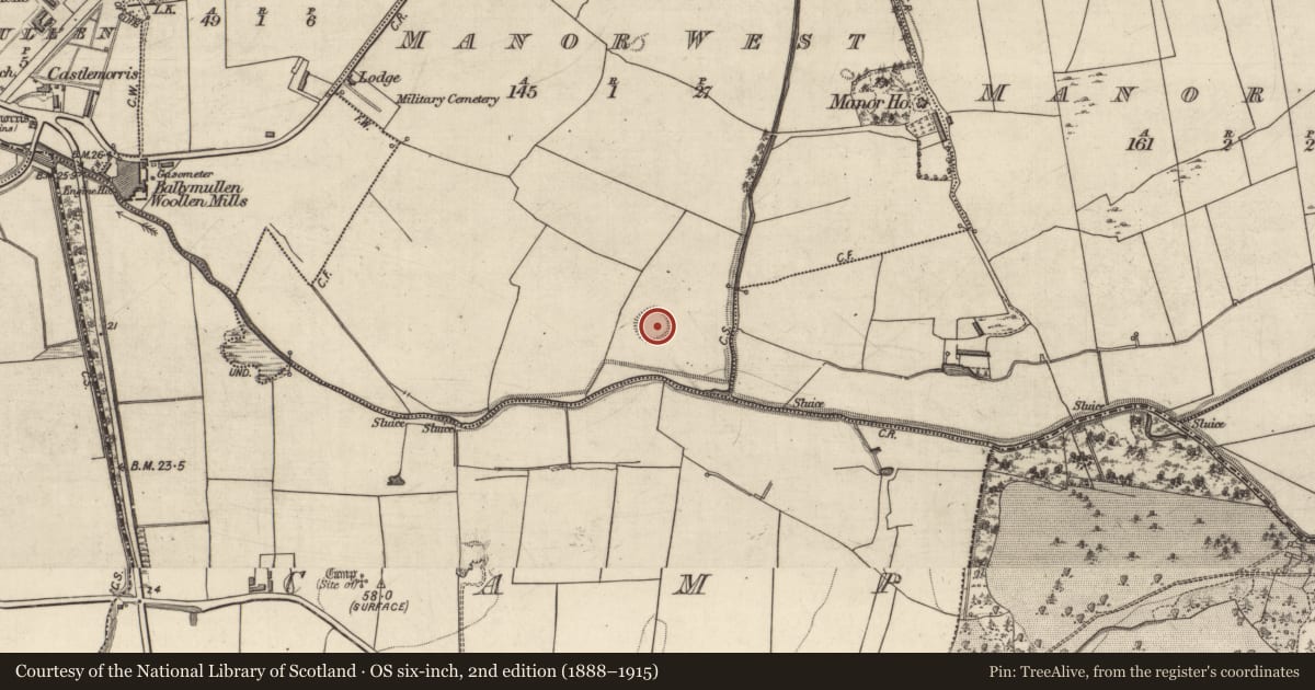 Ordnance Survey six-inch map, 2nd edition (1888–1915) covering the location of Enclosure, Manor West, County Kerry, with a pin at the register's coordinates