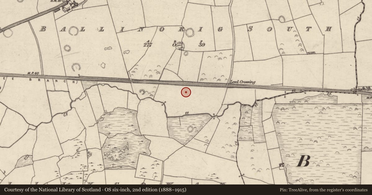 Ordnance Survey six-inch map, 2nd edition (1888–1915) covering the location of Enclosure, Ballinorig South, County Kerry, with a pin at the register's coordinates