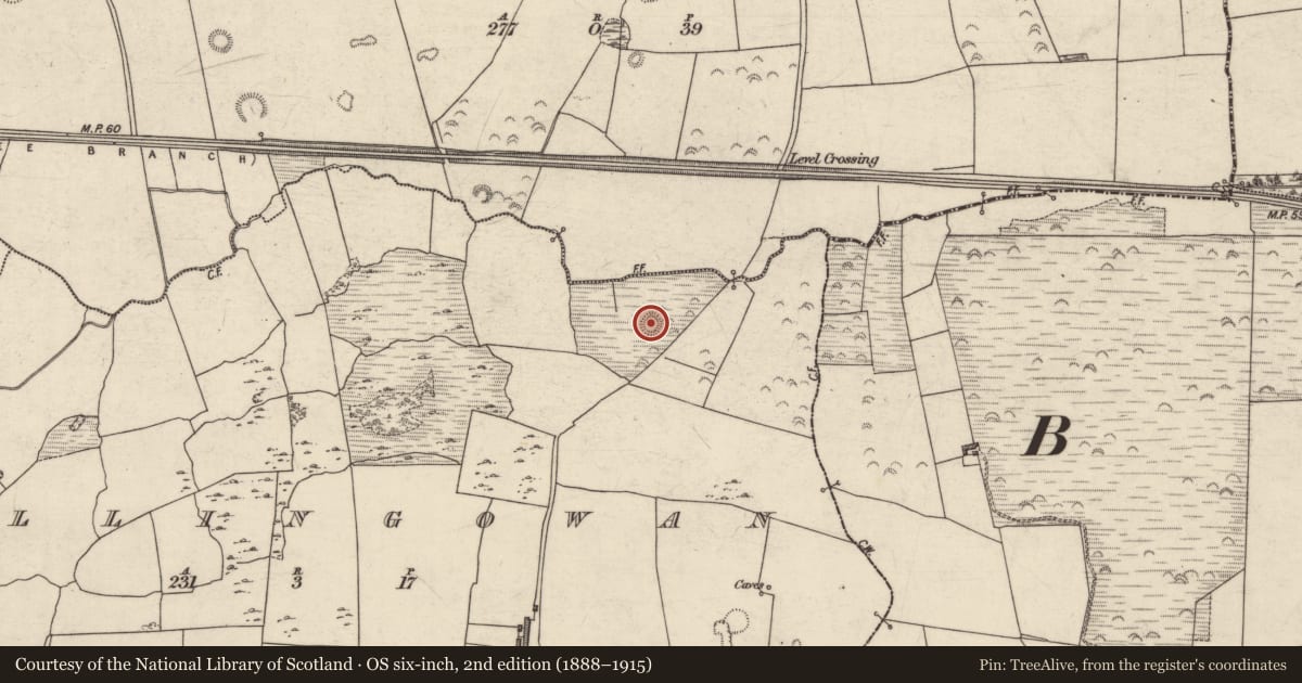 Ordnance Survey six-inch map, 2nd edition (1888–1915) covering the location of Enclosure, Ballingowan, County Kerry, with a pin at the register's coordinates