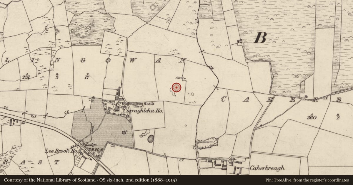 Ordnance Survey six-inch map, 2nd edition (1888–1915) covering the location of Enclosure, Ballingowan, County Kerry, with a pin at the register's coordinates