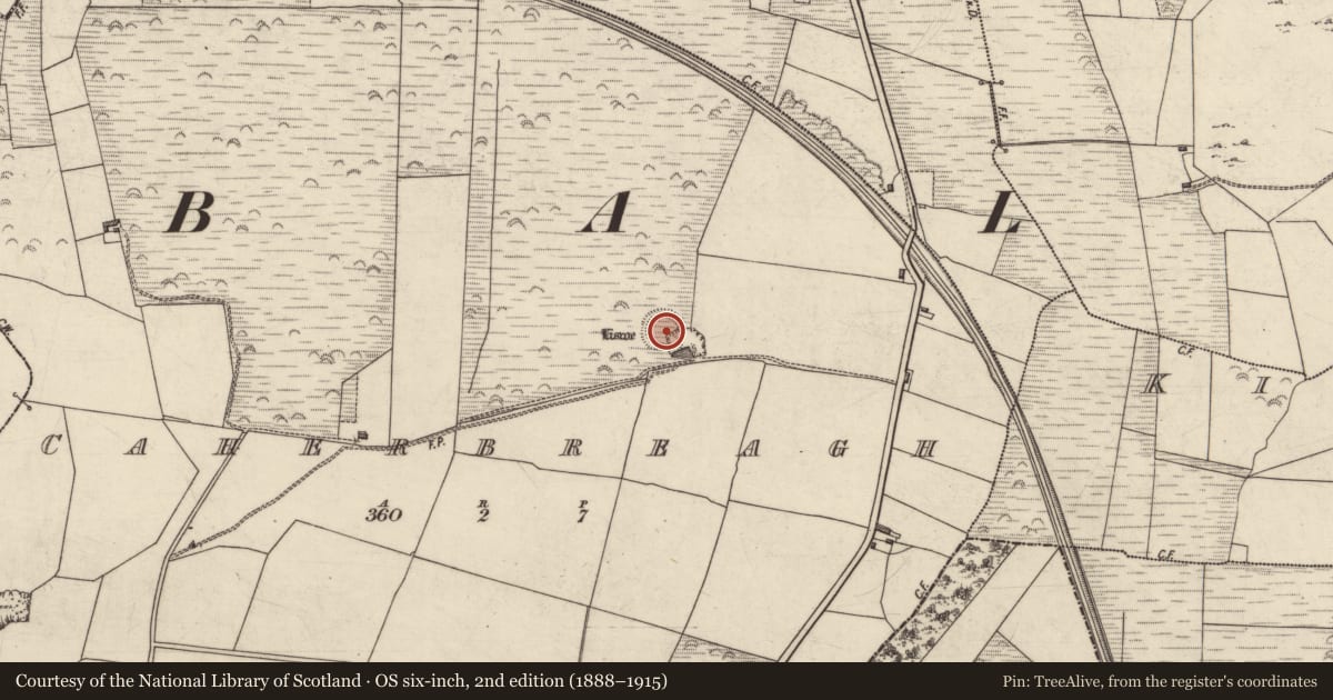 Ordnance Survey six-inch map, 2nd edition (1888–1915) covering the location of Ringfort - rath, Caherbreagh, County Kerry, with a pin at the register's coordinates