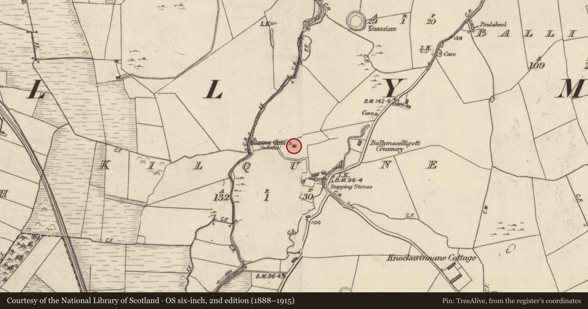 Ordnance Survey six-inch map, 2nd edition (1888–1915) covering the location of Church, Kilquane, County Kerry, with a pin at the register's coordinates