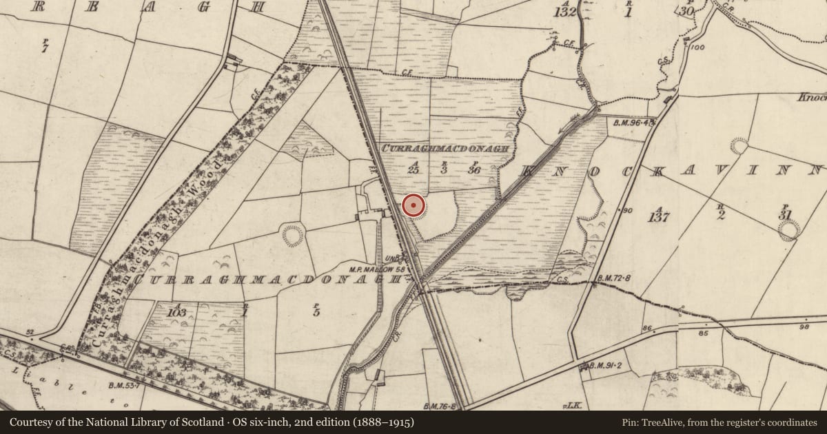 Ordnance Survey six-inch map, 2nd edition (1888–1915) covering the location of Ringfort - rath, Curraghmacdonagh (Trughanacmy By., Ballymacelligott Par.), County Kerry, with a pin at the register's coordinates