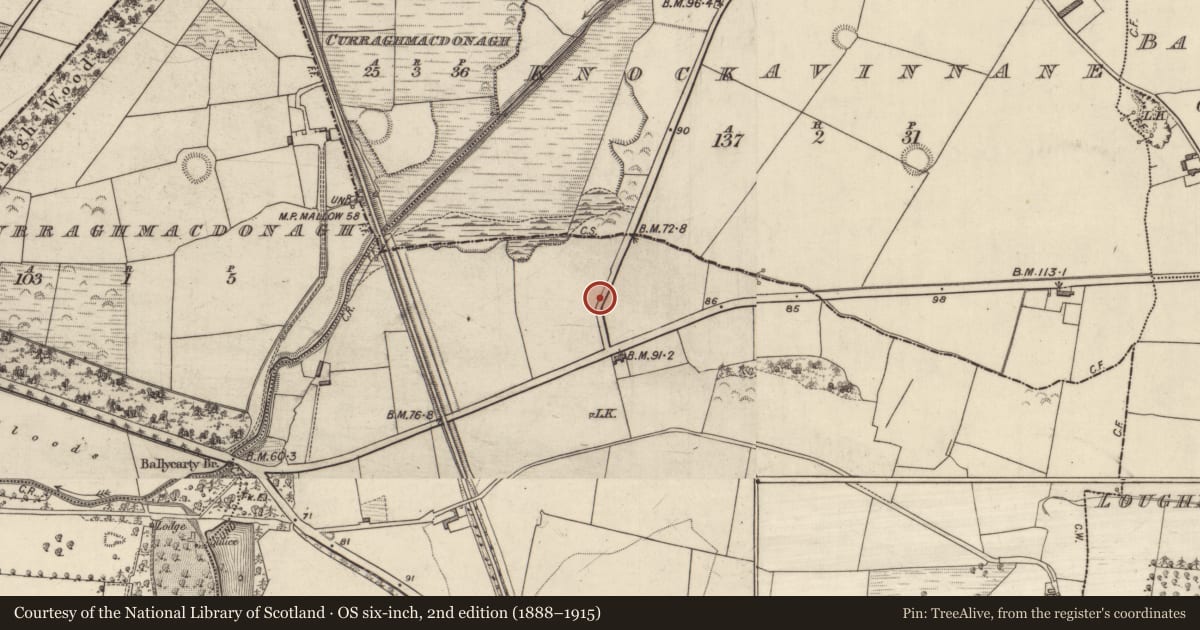 Ordnance Survey six-inch map, 2nd edition (1888–1915) covering the location of Enclosure, Ballymacthomas, County Kerry, with a pin at the register's coordinates