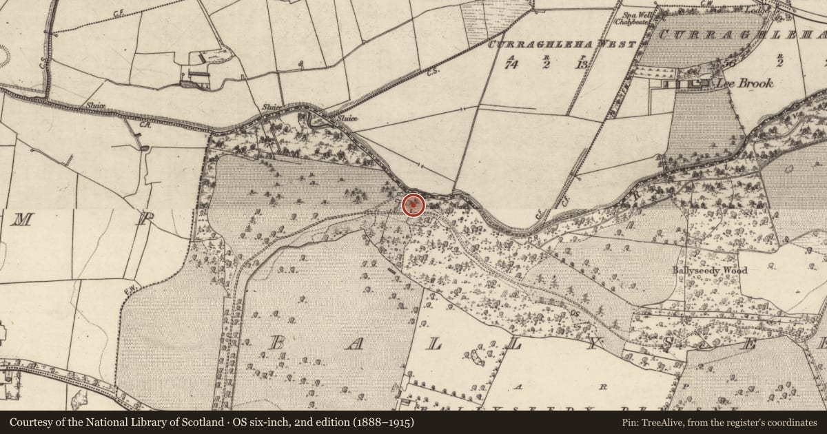Ordnance Survey six-inch map, 2nd edition (1888–1915) covering the location of House - 17th century, Ballyseedy, County Kerry, with a pin at the register's coordinates