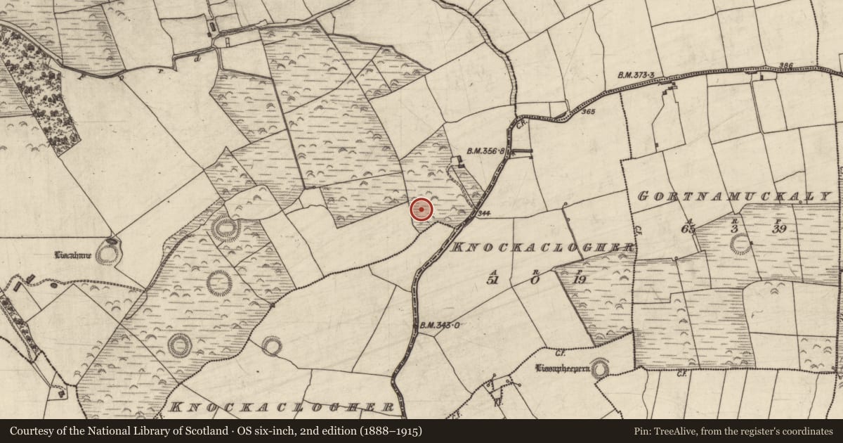 Ordnance Survey six-inch map, 2nd edition (1888–1915) covering the location of Enclosure, Liscahane, County Kerry, with a pin at the register's coordinates