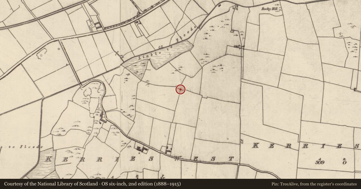 Ordnance Survey six-inch map, 2nd edition (1888–1915) covering the location of Enclosure, Kerries West, County Kerry, with a pin at the register's coordinates
