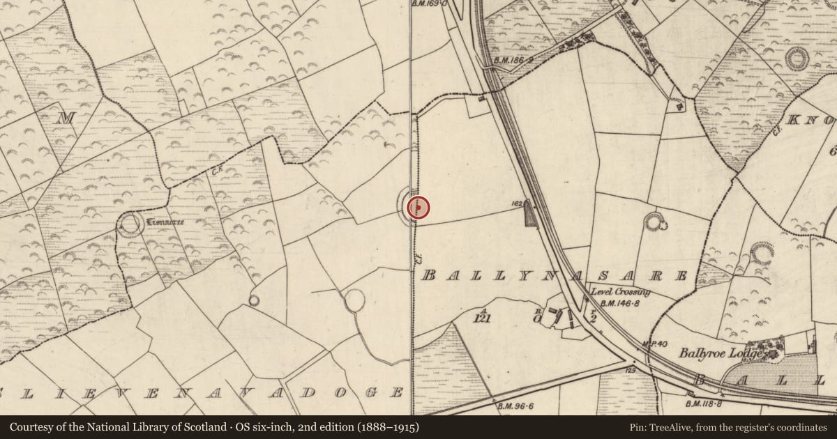 Ordnance Survey six-inch map, 2nd edition (1888–1915) covering the location of Enclosure, Ballynasare, Slievenavadoge, County Kerry, with a pin at the register's coordinates