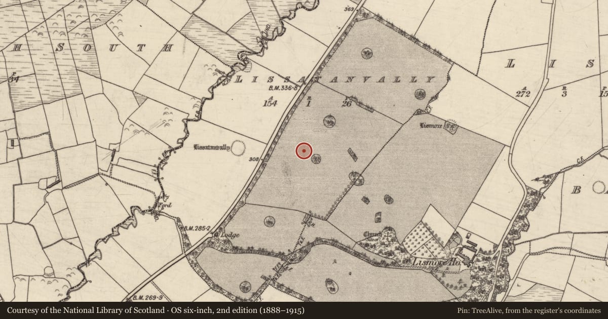 Ordnance Survey six-inch map, 2nd edition (1888–1915) covering the location of Enclosure, Lissatanvally, County Kerry, with a pin at the register's coordinates