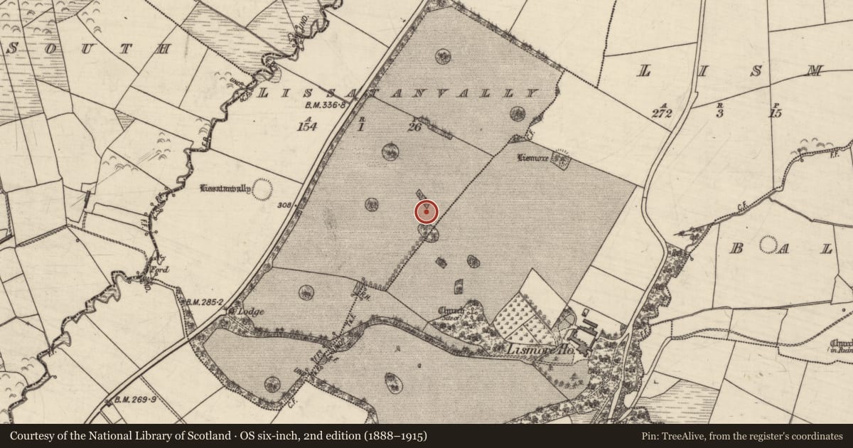 Ordnance Survey six-inch map, 2nd edition (1888–1915) covering the location of Enclosure, Lissatanvally, County Kerry, with a pin at the register's coordinates