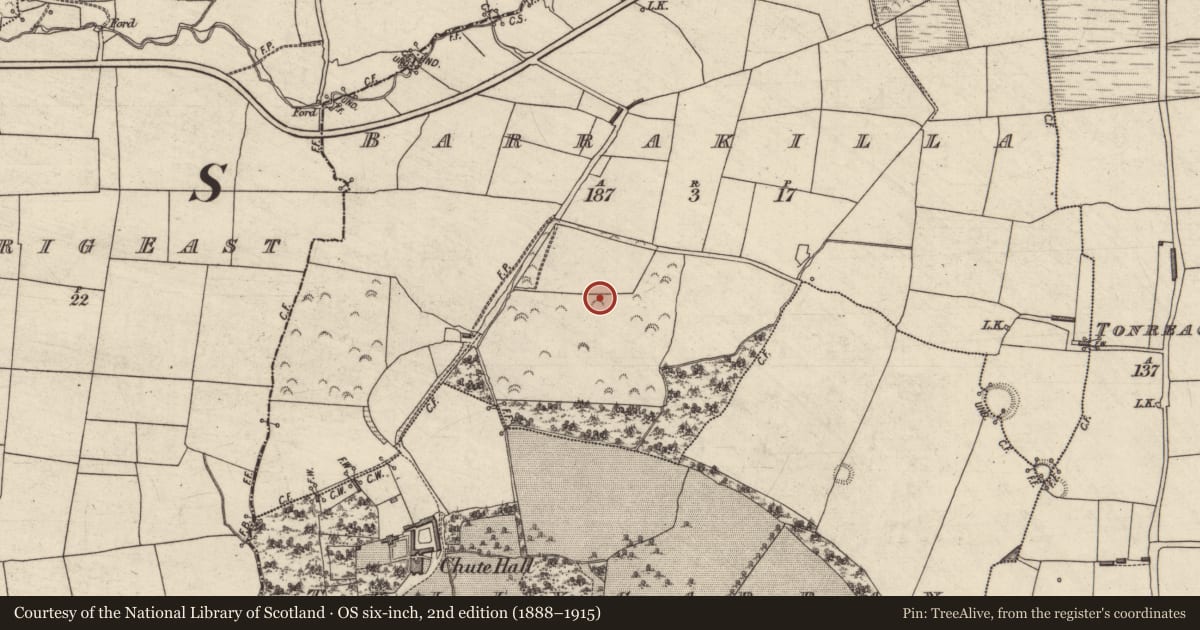 Ordnance Survey six-inch map, 2nd edition (1888–1915) covering the location of Field system, Barrakilla, County Kerry, with a pin at the register's coordinates