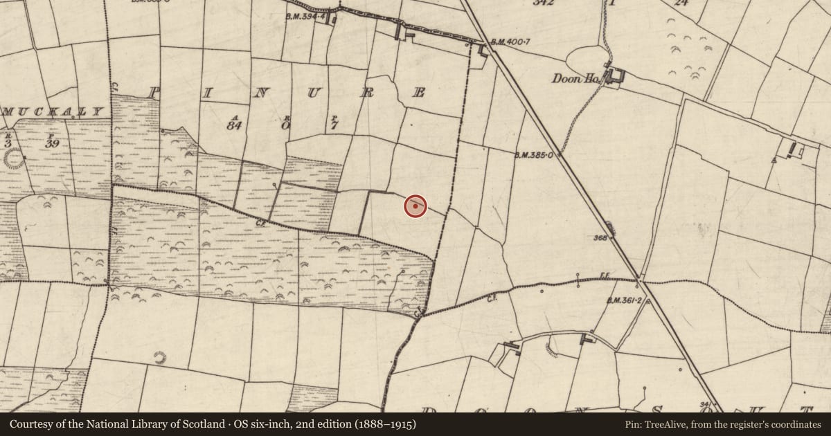 Ordnance Survey six-inch map, 2nd edition (1888–1915) covering the location of Fulacht fia, Pinure, County Kerry, with a pin at the register's coordinates