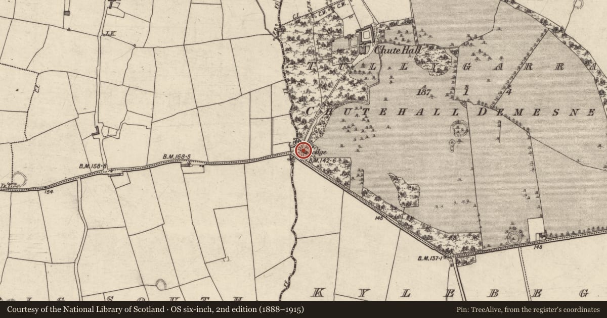 Ordnance Survey six-inch map, 2nd edition (1888–1915) covering the location of Ogham stone (present location), Tullygarran, County Kerry, with a pin at the register's coordinates