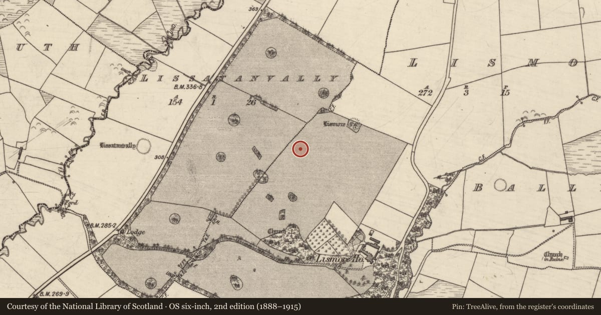 Ordnance Survey six-inch map, 2nd edition (1888–1915) covering the location of Enclosure, Lismore, Lissatanvally, County Kerry, with a pin at the register's coordinates