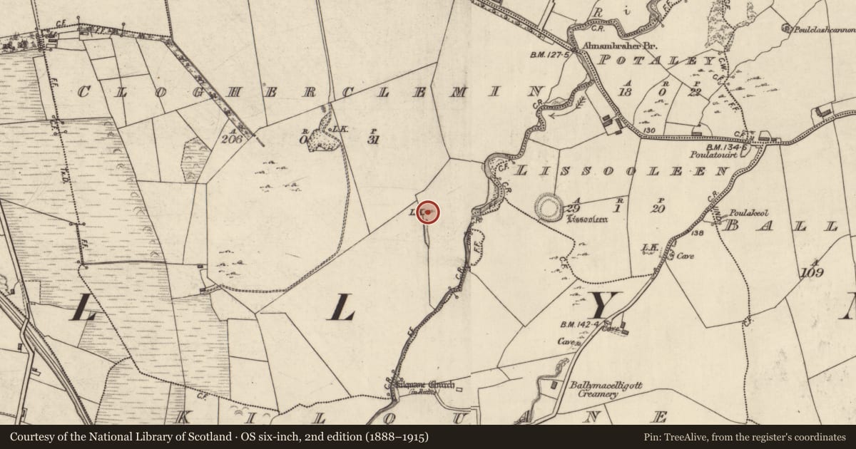 Ordnance Survey six-inch map, 2nd edition (1888–1915) covering the location of Earthwork, Clogherclemin, County Kerry, with a pin at the register's coordinates