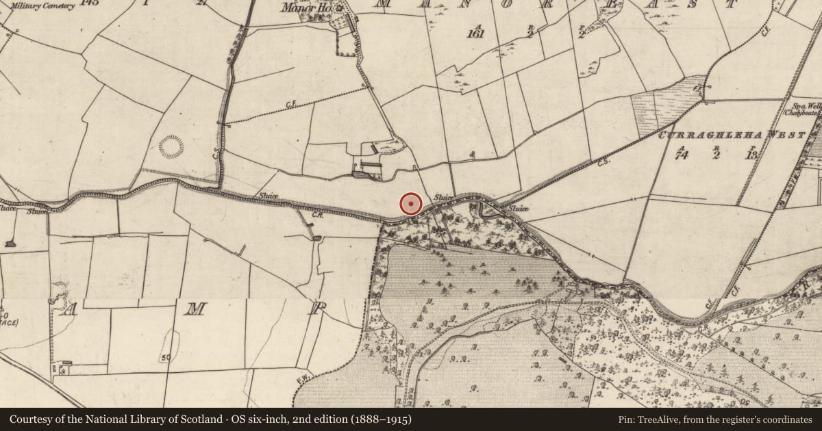 Ordnance Survey six-inch map, 2nd edition (1888–1915) covering the location of Barrow - ring-barrow, Manor East, County Kerry, with a pin at the register's coordinates