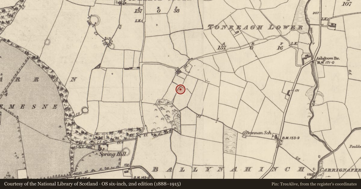 Ordnance Survey six-inch map, 2nd edition (1888–1915) covering the location of Burnt mound, Tonreagh Lower, County Kerry, with a pin at the register's coordinates
