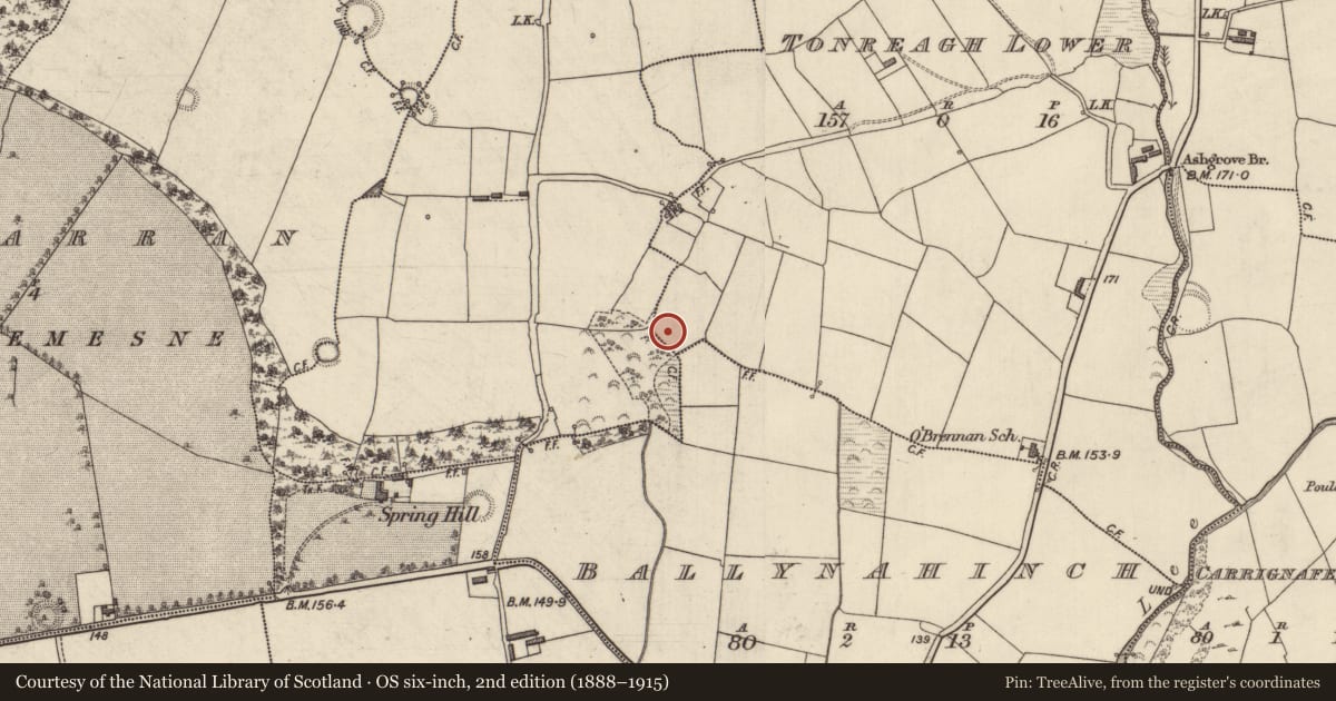 Ordnance Survey six-inch map, 2nd edition (1888–1915) covering the location of Burnt mound, Tonreagh Lower, County Kerry, with a pin at the register's coordinates