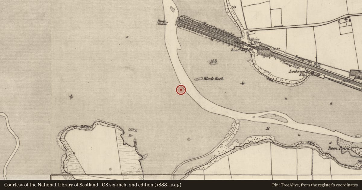 Ordnance Survey six-inch map, 2nd edition (1888–1915) covering the location of Weir - fish, Lohercannan, County Kerry, with a pin at the register's coordinates