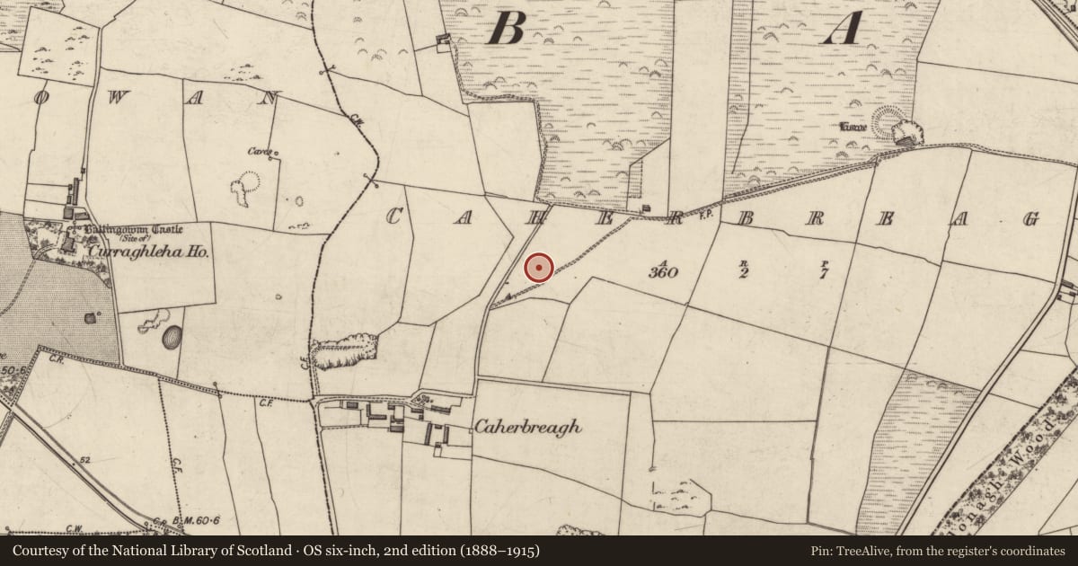 Ordnance Survey six-inch map, 2nd edition (1888–1915) covering the location of Standing stone, Caherbreagh, County Kerry, with a pin at the register's coordinates
