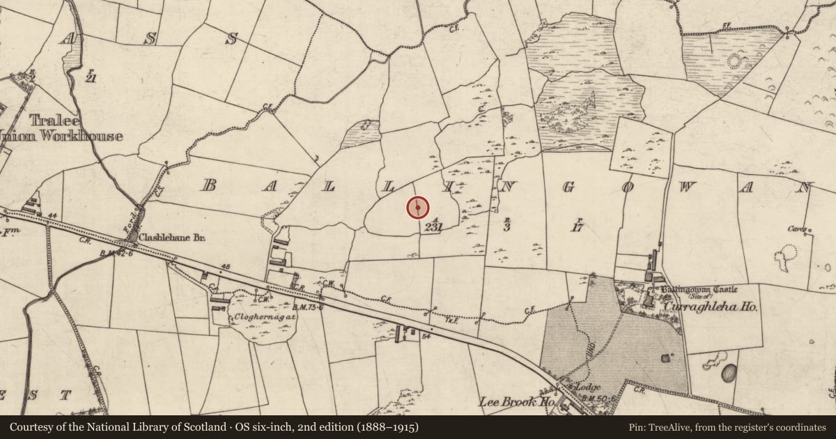 Ordnance Survey six-inch map, 2nd edition (1888–1915) covering the location of Enclosure - large enclosure, Ballingowan, County Kerry, with a pin at the register's coordinates