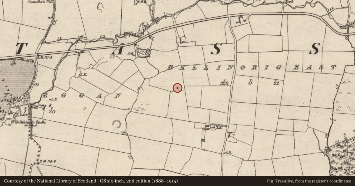 Ordnance Survey six-inch map, 2nd edition (1888–1915) covering the location of Enclosure, Ballinorig East, County Kerry, with a pin at the register's coordinates