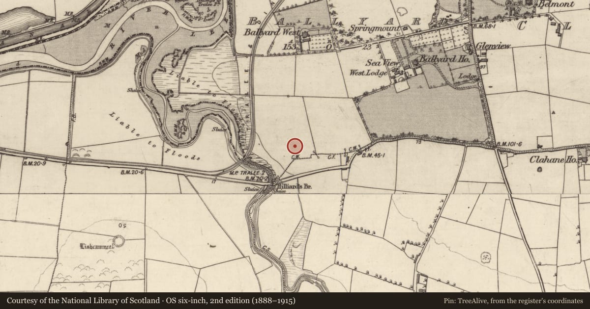 Ordnance Survey six-inch map, 2nd edition (1888–1915) covering the location of Enclosure, Ballyard, County Kerry, with a pin at the register's coordinates