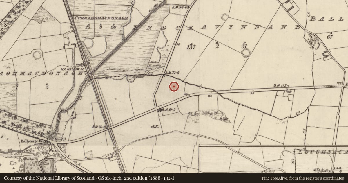 Ordnance Survey six-inch map, 2nd edition (1888–1915) covering the location of Pit alignment, Ballymacthomas, Coolnadead, County Kerry, with a pin at the register's coordinates
