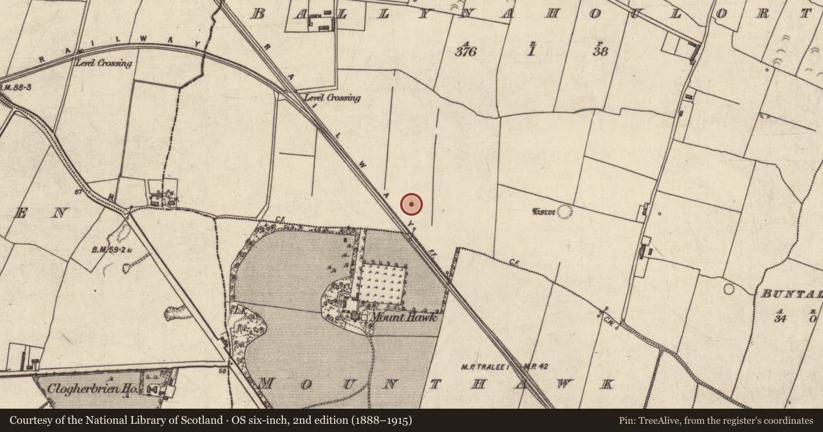 Ordnance Survey six-inch map, 2nd edition (1888–1915) covering the location of Burnt mound, Ballynahoulort, County Kerry, with a pin at the register's coordinates