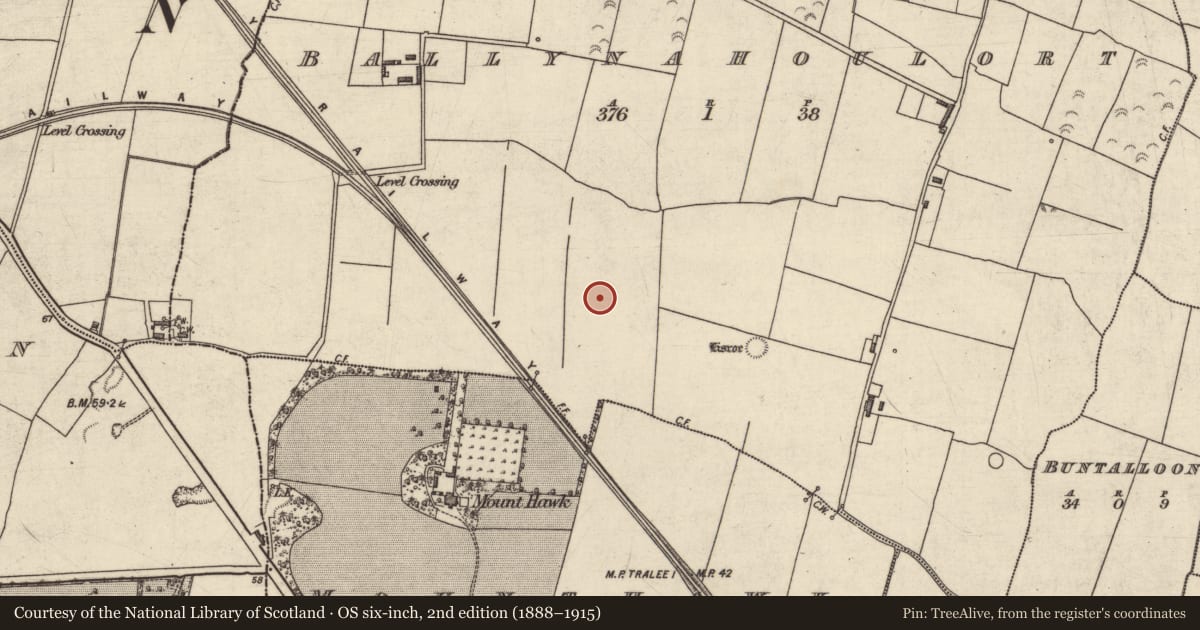 Ordnance Survey six-inch map, 2nd edition (1888–1915) covering the location of Burnt spread, Ballynahoulort, County Kerry, with a pin at the register's coordinates