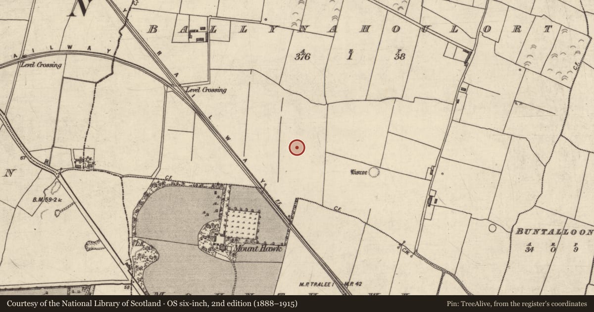 Ordnance Survey six-inch map, 2nd edition (1888–1915) covering the location of Burnt spread, Ballynahoulort, County Kerry, with a pin at the register's coordinates