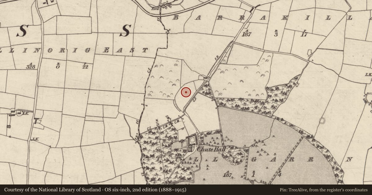 Ordnance Survey six-inch map, 2nd edition (1888–1915) covering the location of Enclosure, Barrakilla, County Kerry, with a pin at the register's coordinates