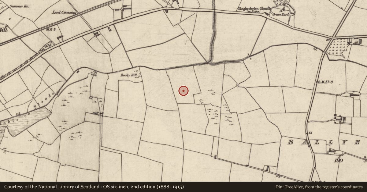Ordnance Survey six-inch map, 2nd edition (1888–1915) covering the location of Enclosure, Kerries East, County Kerry, with a pin at the register's coordinates