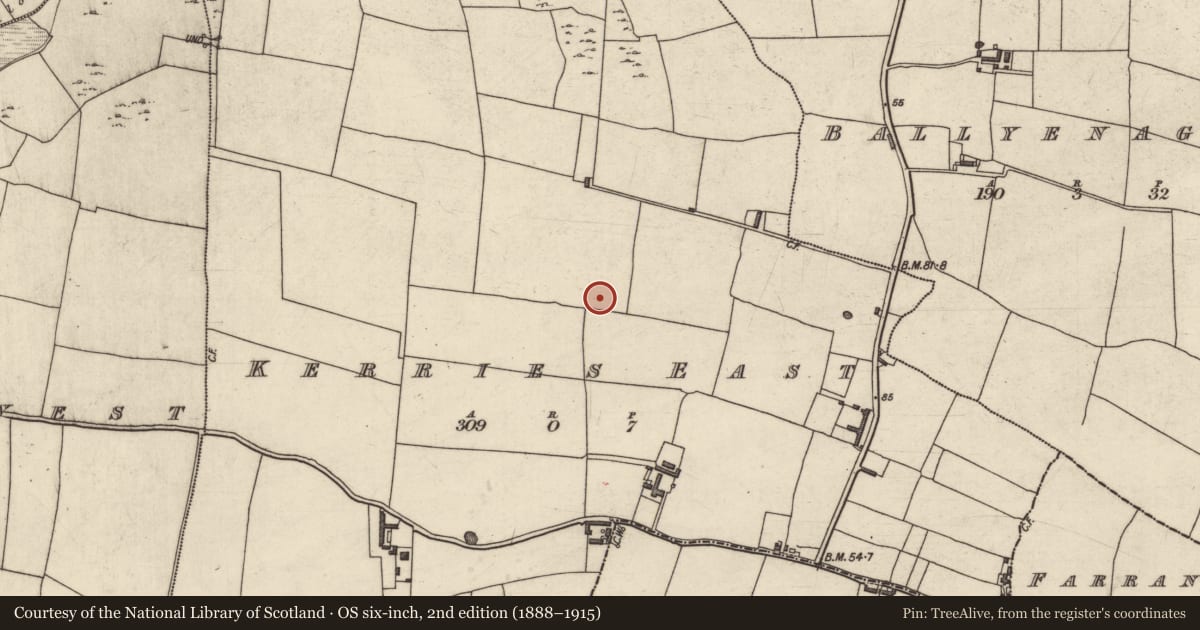 Ordnance Survey six-inch map, 2nd edition (1888–1915) covering the location of Enclosure, Kerries East, County Kerry, with a pin at the register's coordinates