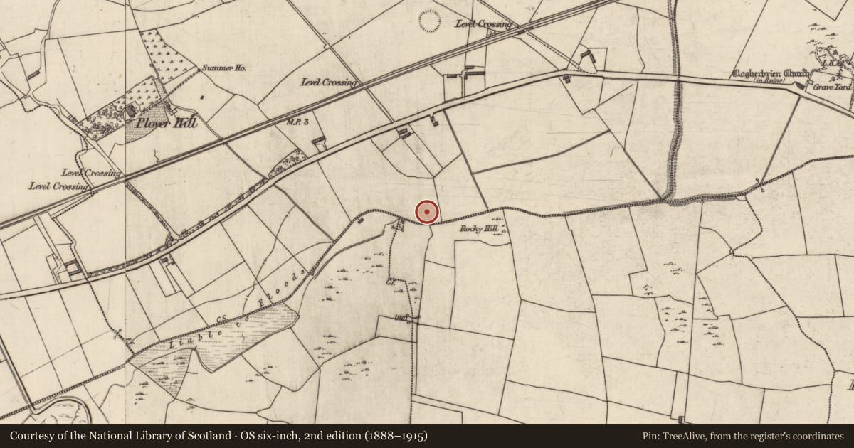 Ordnance Survey six-inch map, 2nd edition (1888–1915) covering the location of Field system, County Kerry, with a pin at the register's coordinates