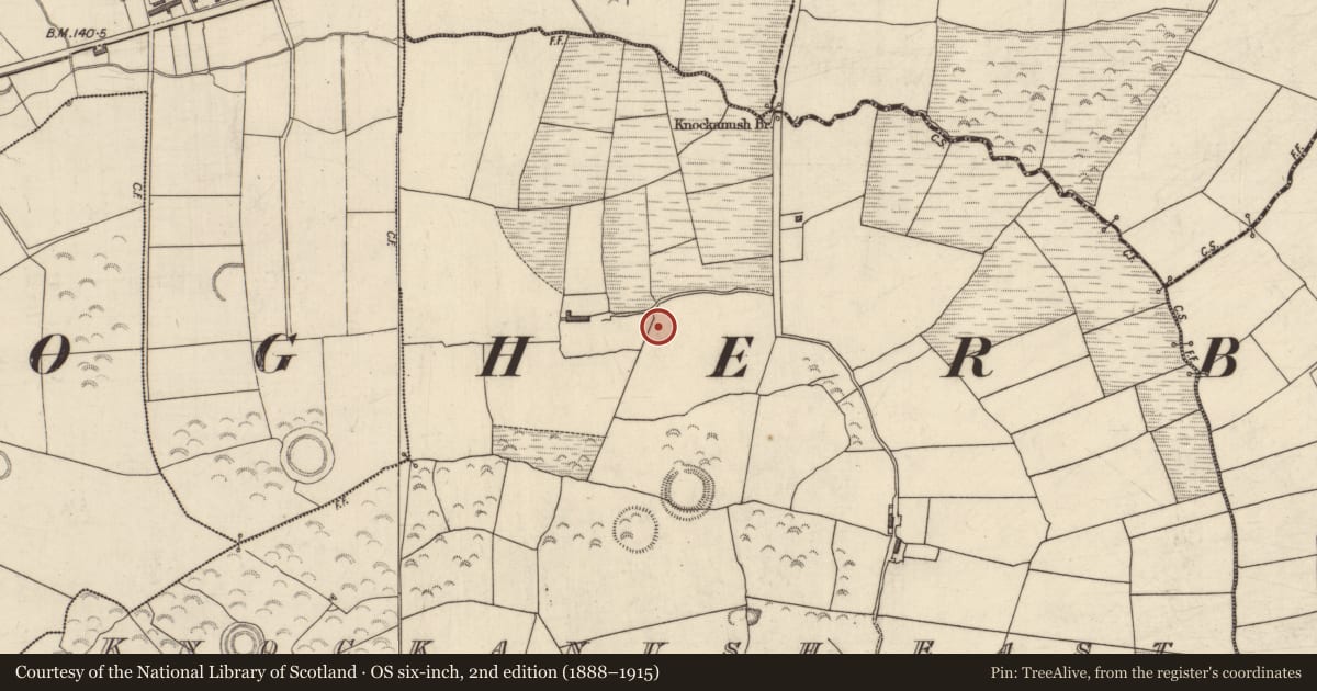 Ordnance Survey six-inch map, 2nd edition (1888–1915) covering the location of Burnt mound, Knockanush East, County Kerry, with a pin at the register's coordinates