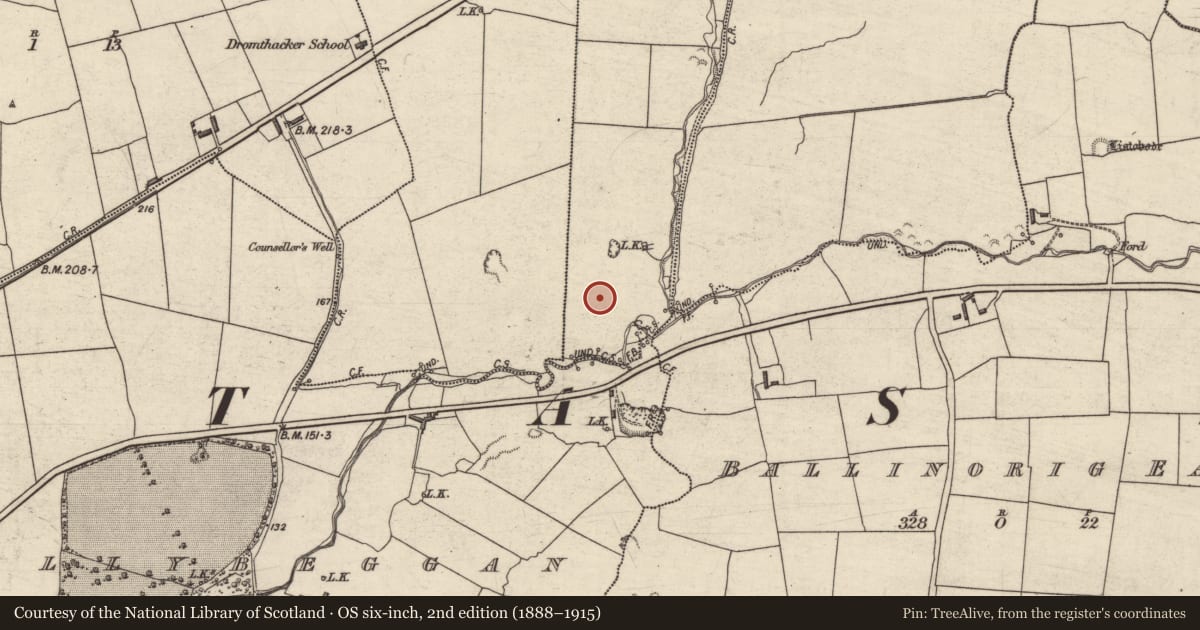 Ordnance Survey six-inch map, 2nd edition (1888–1915) covering the location of Enclosure, Knockawaddra Middle, County Kerry, with a pin at the register's coordinates