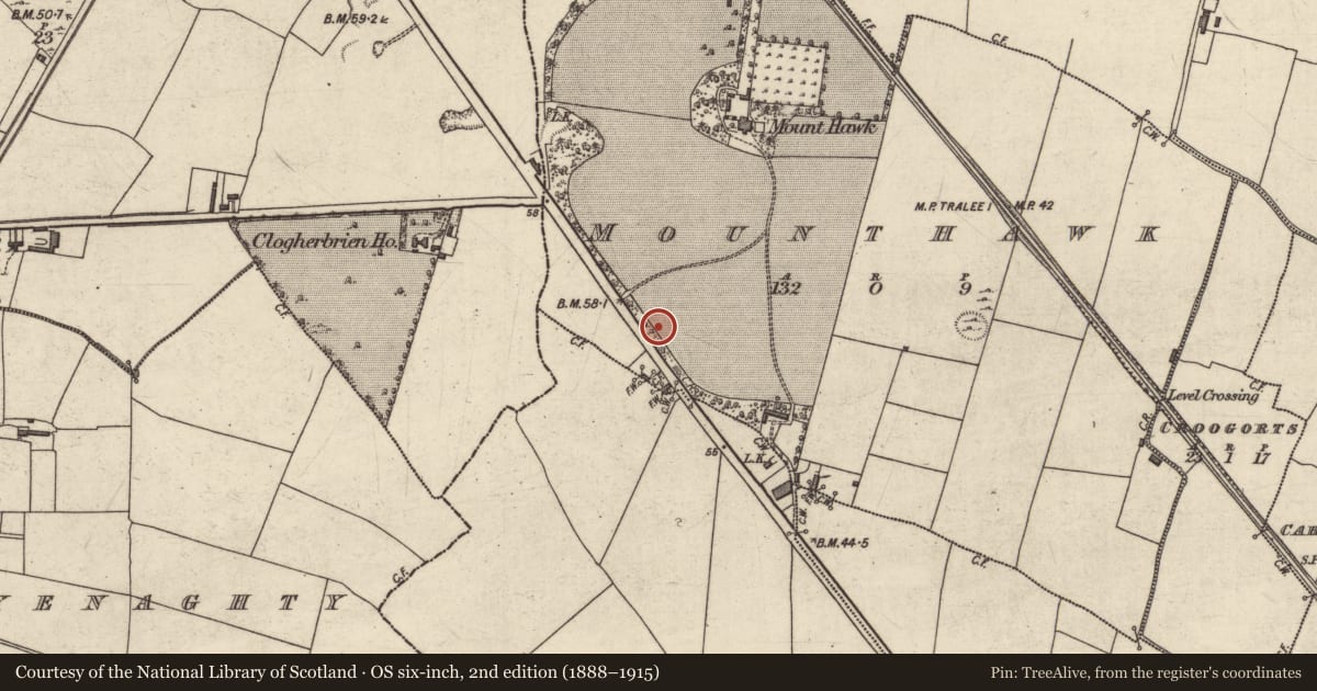 Ordnance Survey six-inch map, 2nd edition (1888–1915) covering the location of Excavation - miscellaneous, Mounthawk, County Kerry, with a pin at the register's coordinates