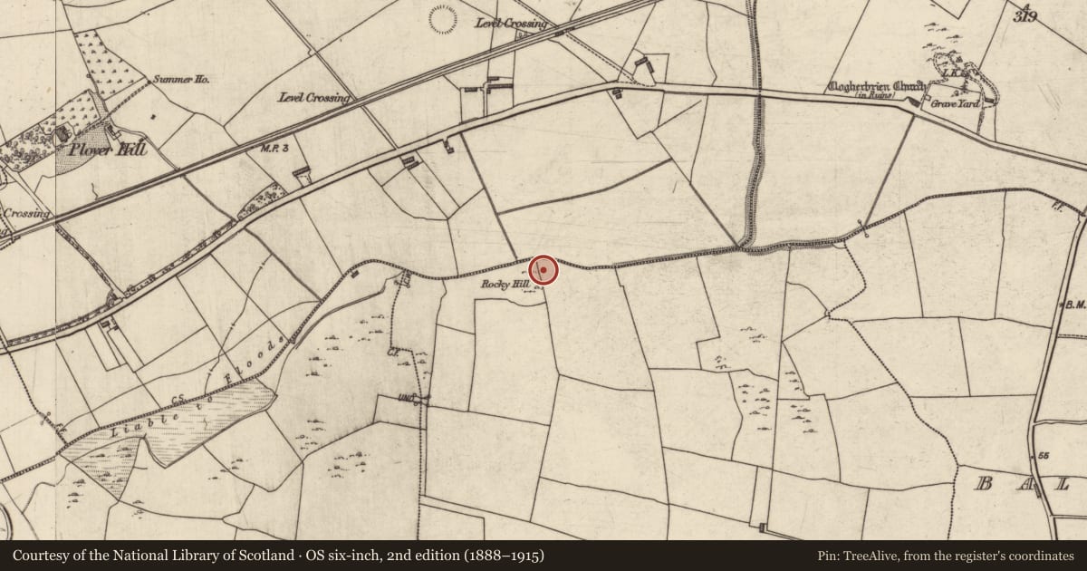 Ordnance Survey six-inch map, 2nd edition (1888–1915) covering the location of Field boundary, Kerries East, County Kerry, with a pin at the register's coordinates