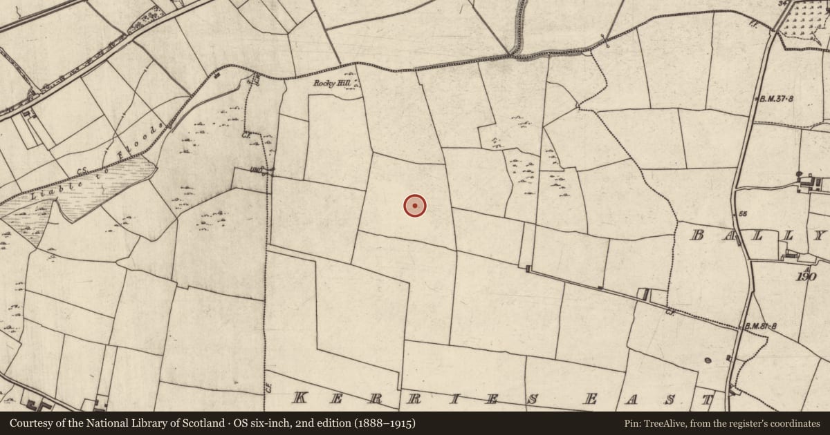 Ordnance Survey six-inch map, 2nd edition (1888–1915) covering the location of Enclosure, Kerries East, County Kerry, with a pin at the register's coordinates