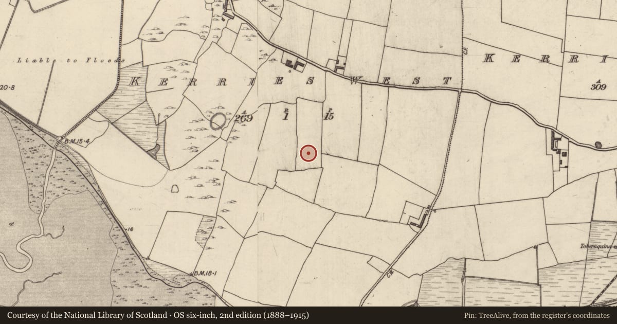 Ordnance Survey six-inch map, 2nd edition (1888–1915) covering the location of Ring-ditch, Kerries West, County Kerry, with a pin at the register's coordinates